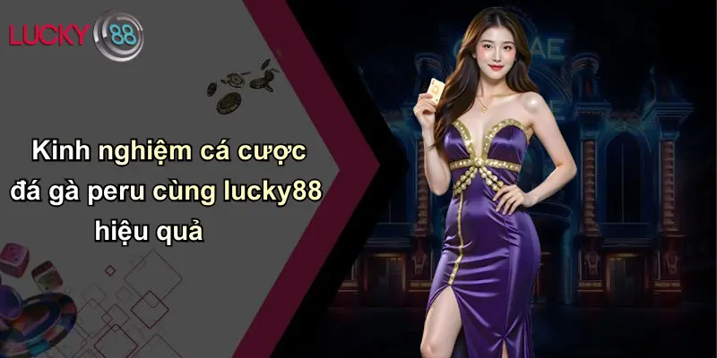 Kinh nghiệm cá cược đá gà peru cùng lucky88 hiệu quả