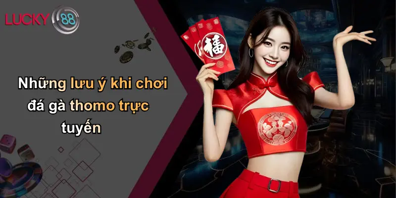 Những lưu ý khi chơi đá gà thomo trực tuyến
