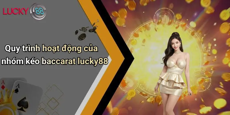 Quy trình hoạt động của nhóm kéo baccarat lucky88